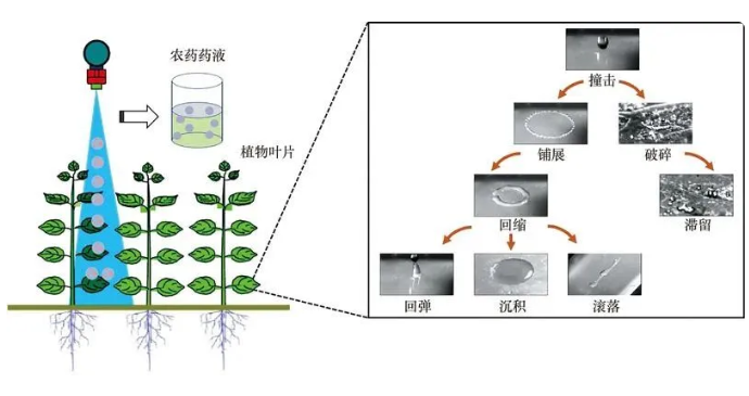 QQ图片20231102161337.png