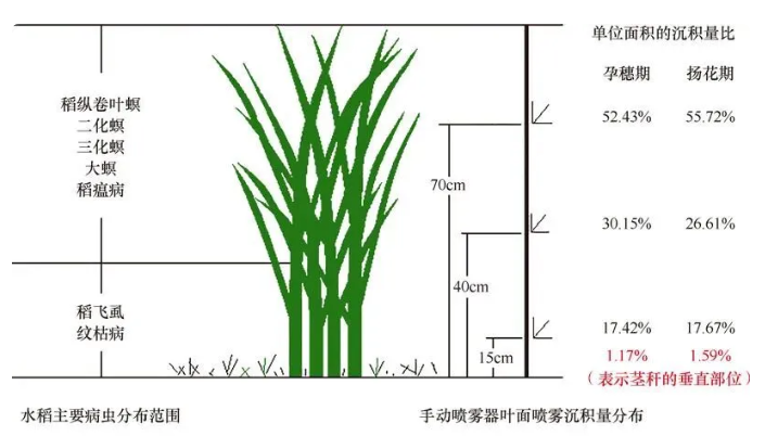 QQ图片20231102161337.png