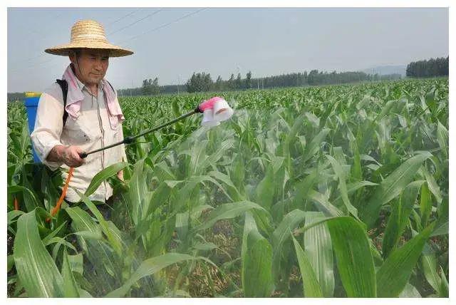 农资王手机软件