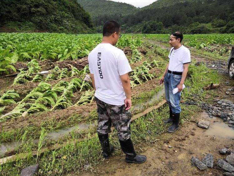 农资王手机软件