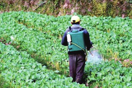 农资王手机软件